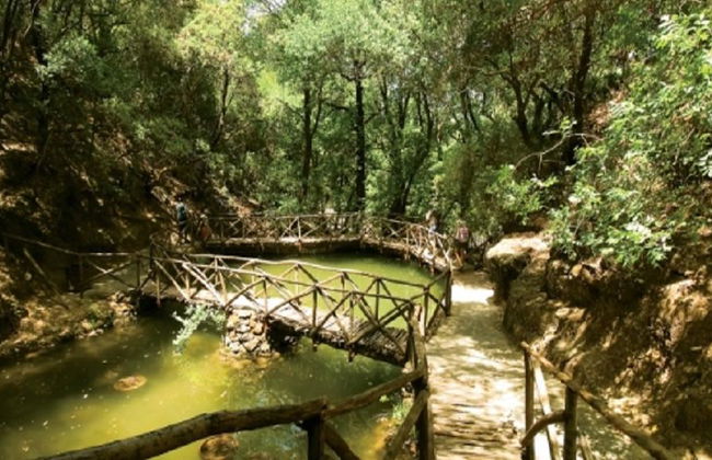 Valle de las Mariposas y Barco a Chalki - Excursión de día completo - Foto 5